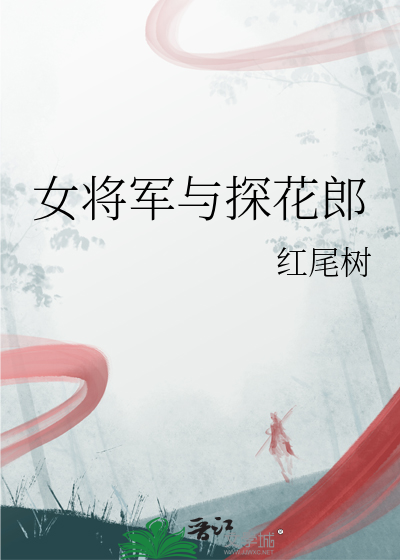 女将军与探花郎