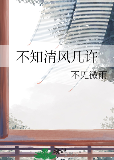 不知清风几许