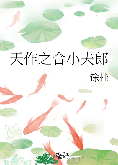 天作之合小夫郎