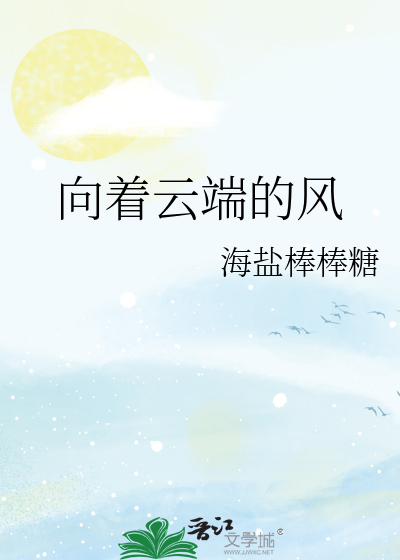 向着云端的风