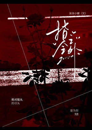 指令之外