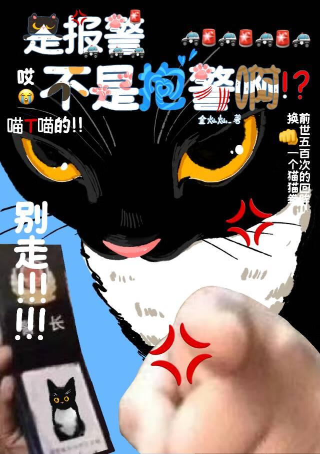 喂！不许调戏黑猫警长！