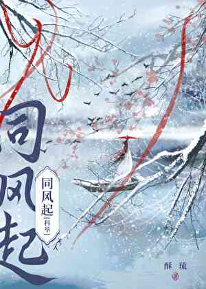 穿书女配，但考科举