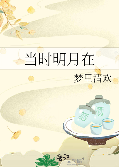 当时明月在