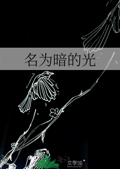 名为暗的光
