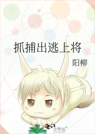 抓捕出逃上将